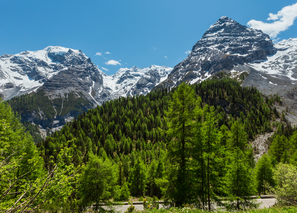 mountain peaks with snow on top and green forest 