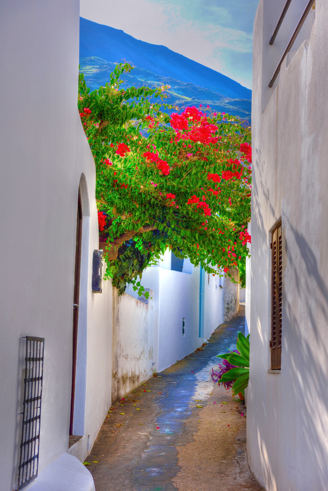 small street whitewash with red flowers on island of Stromboli archipelago