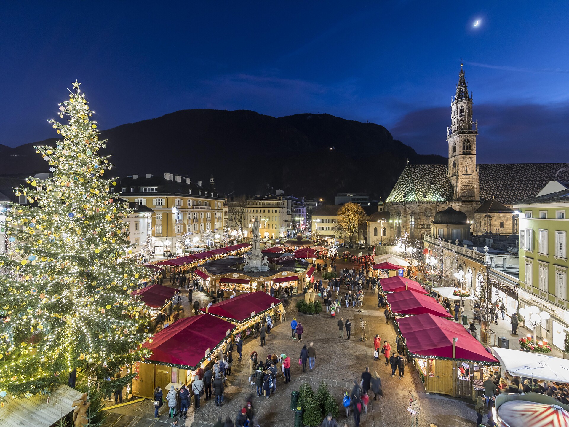 Christmas market and illuminated tree in Bolzano, Italy