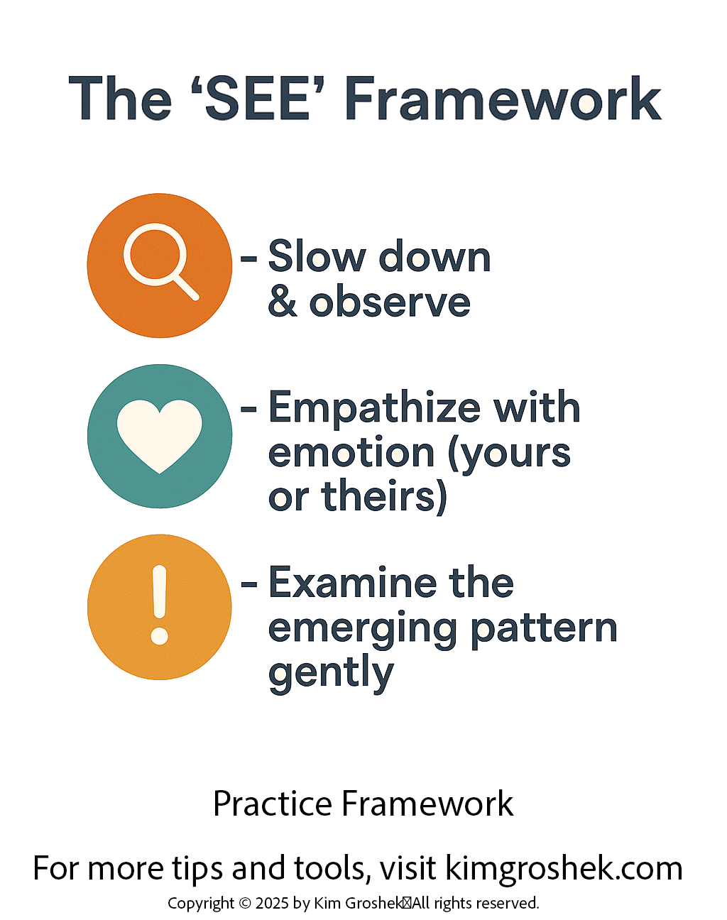 S.E.E. Framework