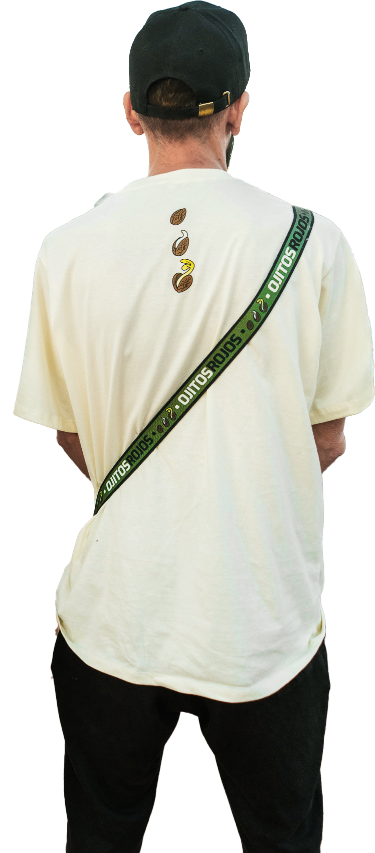 Common.Elements.Image.Web