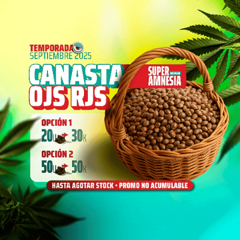 Common.Elements.Image.Web