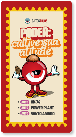 Poder: cultive sua atitude