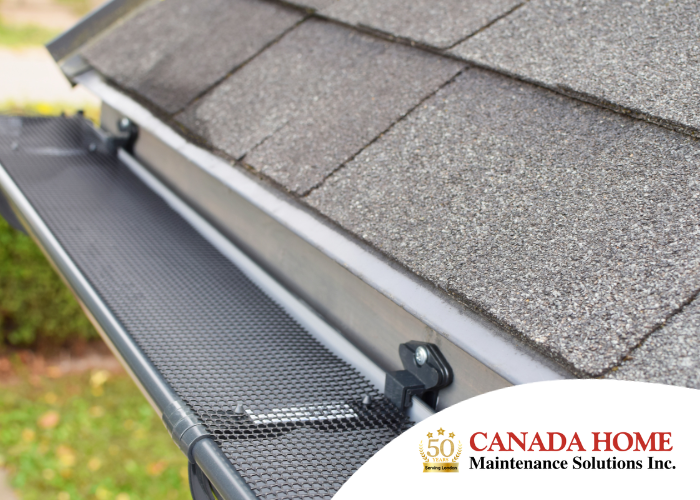 8 Types of Gutter Guards for London Homeowners