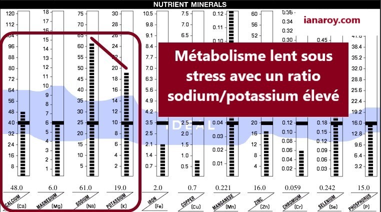 Profil minéral de métabolisme lent sous stress avec un ratio Na/K élevé sur une analyse minérale de cheveux interprétée selon Mineral Balancing