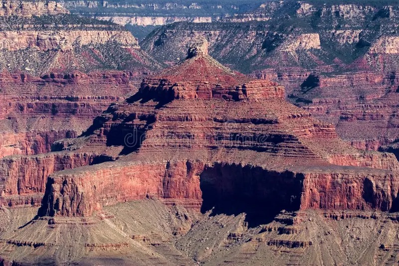 Common.Elements.Image.Web