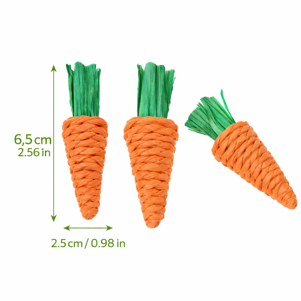Carrot Chew Toys