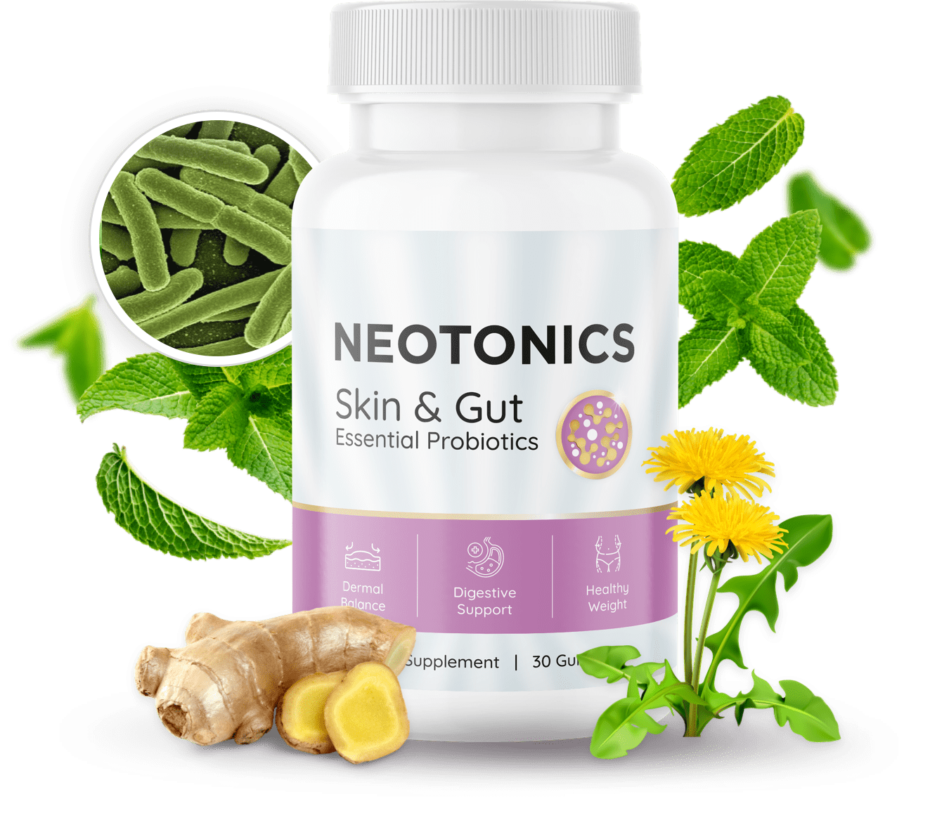 theneotonics 1 Bottle & Ingredients