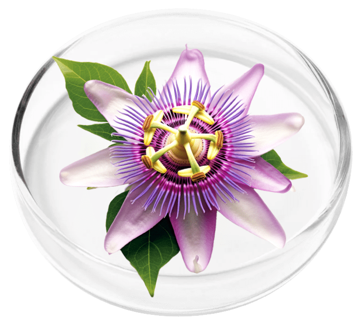 Nervovive.com Contains Passion Flower