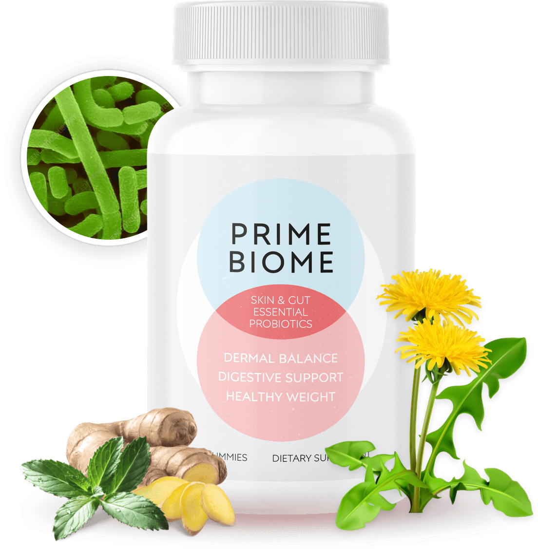 GetPrimeBiome Exclusive Offer - Buy Today & Save Up To U$300