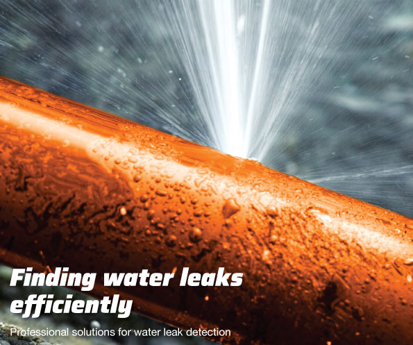 Water and gas leak detection systems