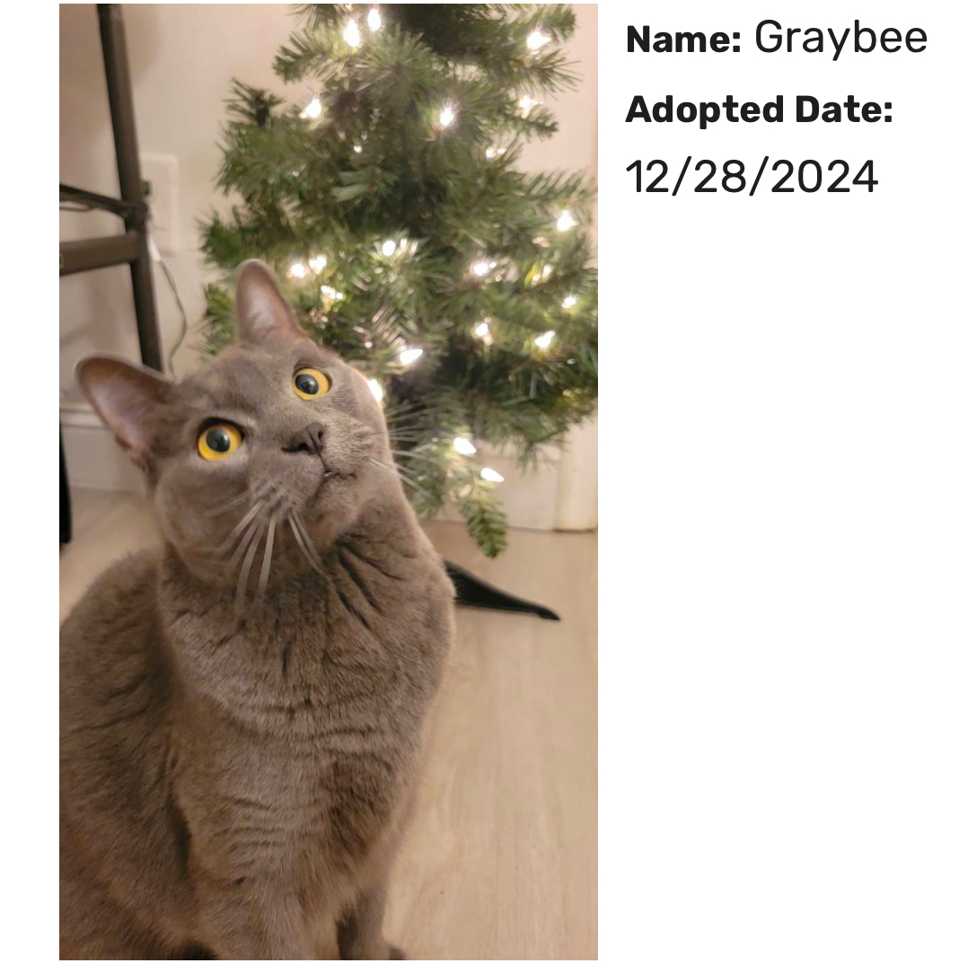 Graybee
