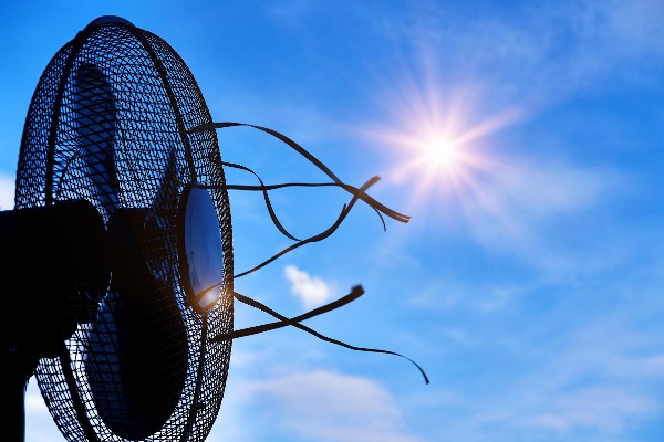 A photo of a fan in front of the sun