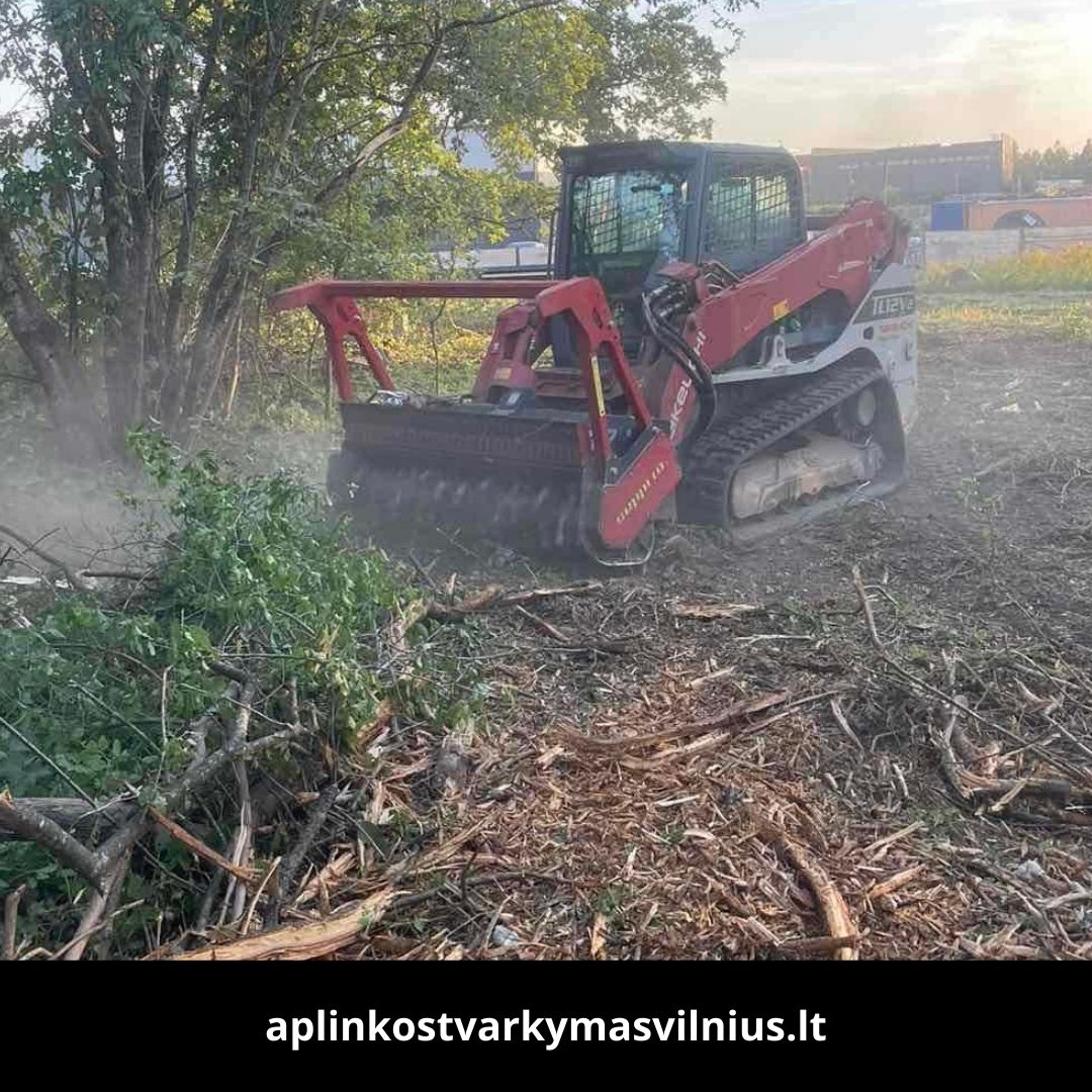 Aplinkos tvarkymas Vilnius atlikti darbai 8