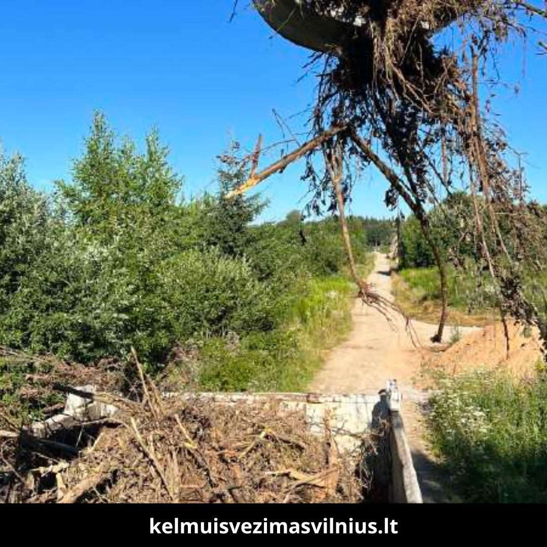 Kelmų išvežimas Vilniuje 4