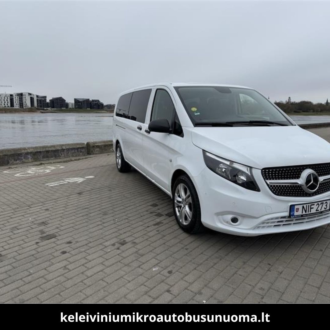 Keleivinių mikroautobusų pasirinkimas 2
