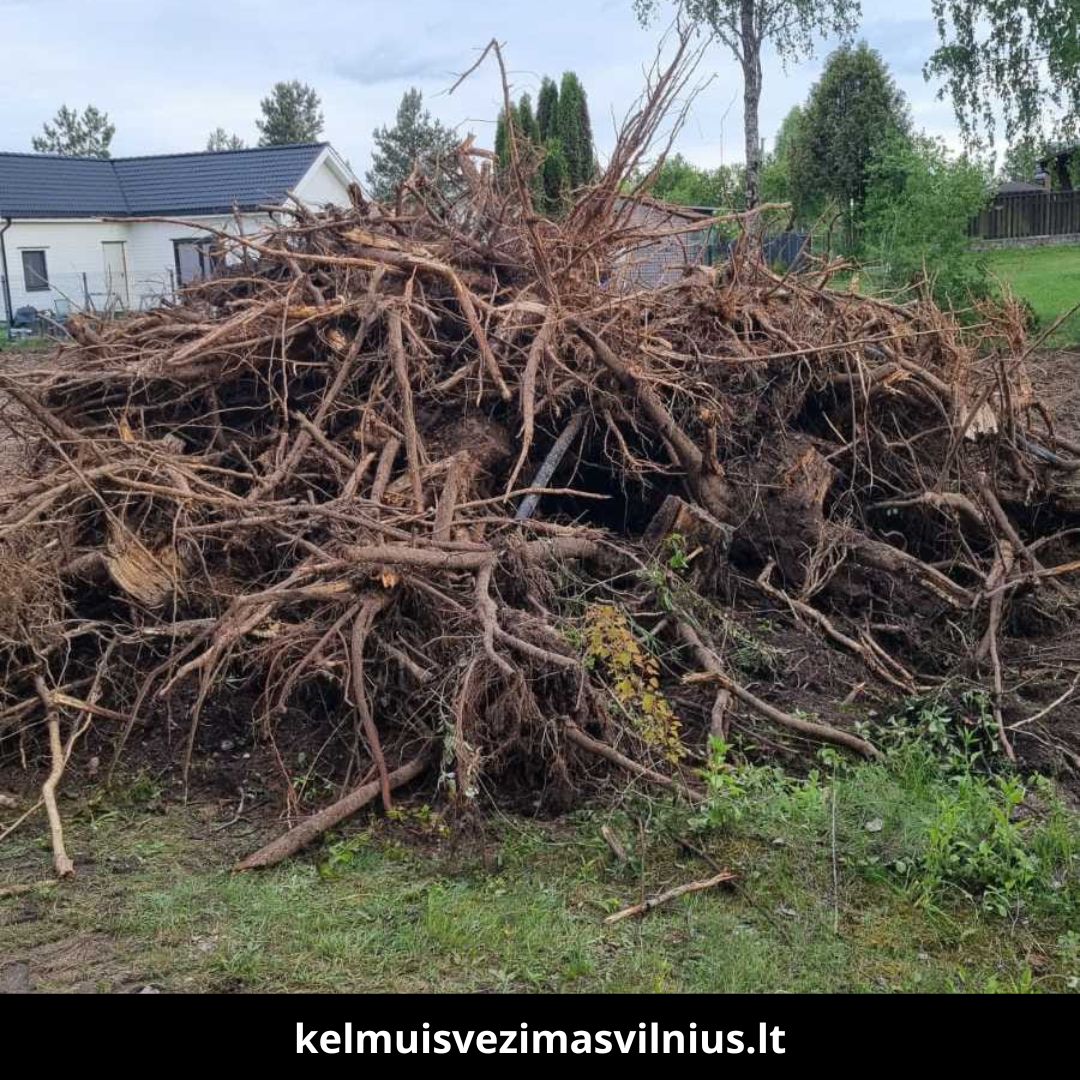 Kelmų išvežimas Vilniuje 1
