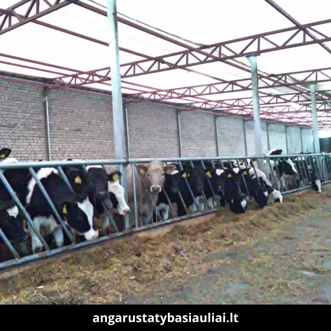 Angarų statyba Šiauliuose atlikti darbai 4