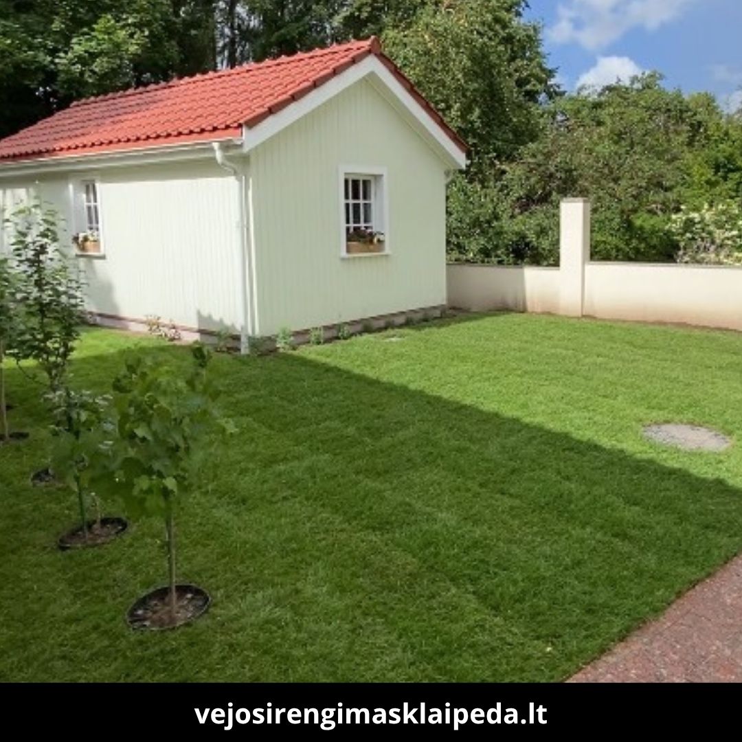 Vejos Įrengimas Klaipėdoje atlikti darbai 3