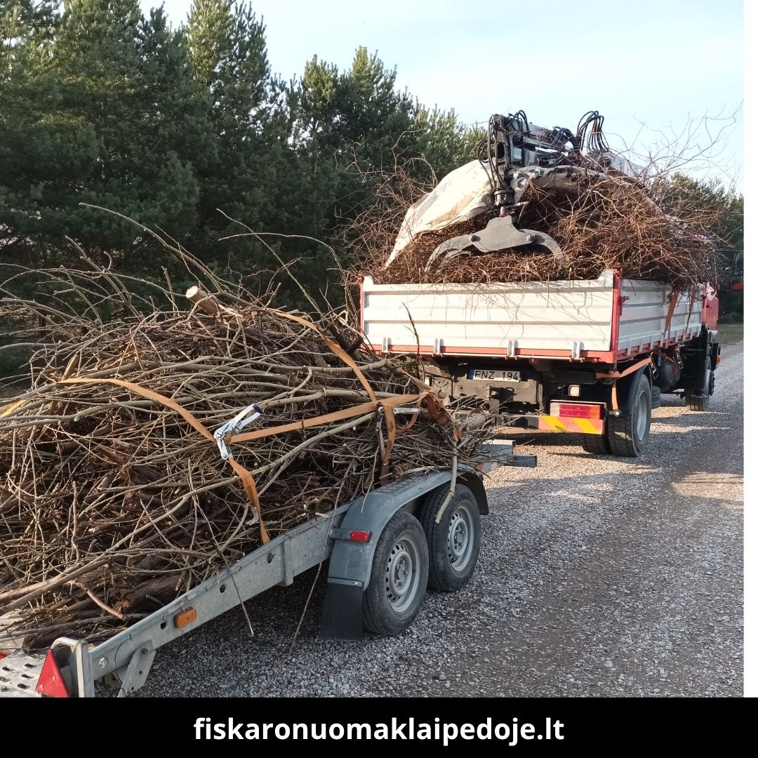 Fiskaro nuoma Klaipėdoje darbai 5