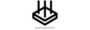 Pamatų įrengimas Vilniuje logo