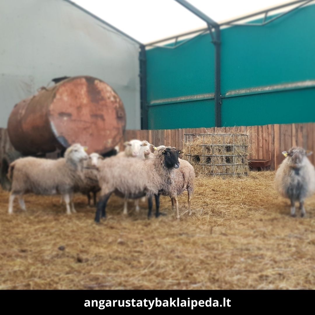 Angarų statyba Klaipėda atlikti darbai 1
