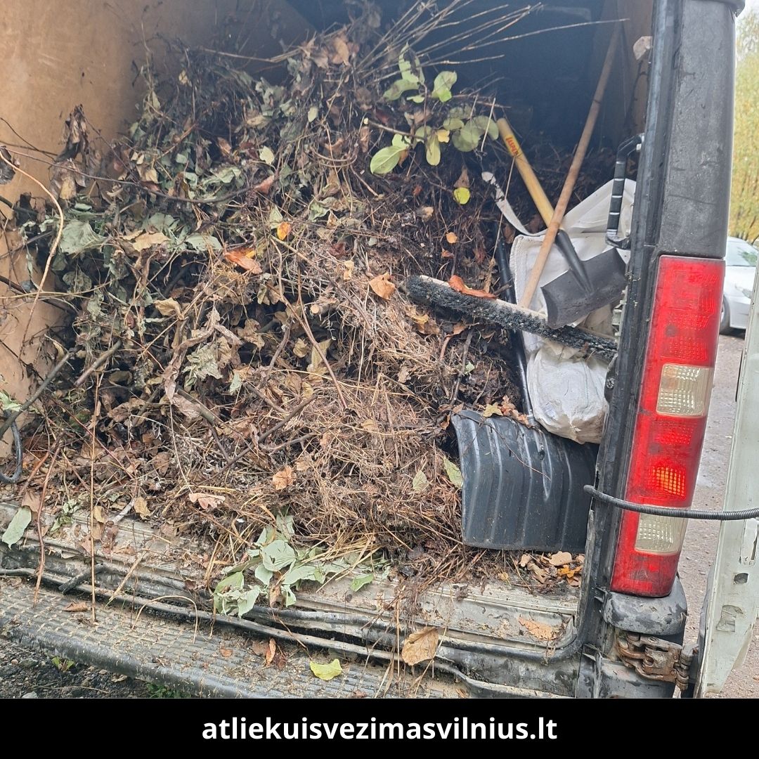 Atlieku isvezimas Vilnius darbai 2