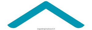 Stogo dengimas Kaune logo