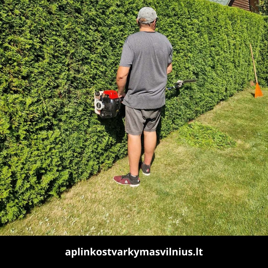 Aplinkos tvarkymas Vilnius atlikti darbai 1