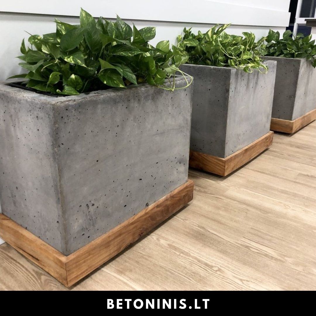 Betoniniai lauko - vidaus vazonai 1