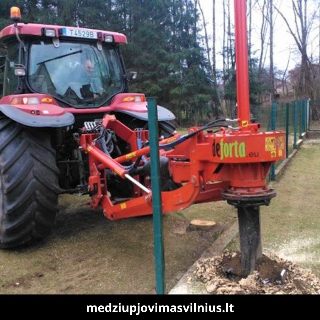 Medžių pjovimas Vilniuje 4