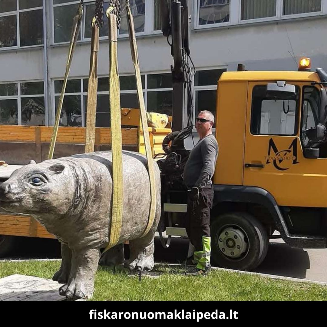 Fiskaro nuoma Klaipėdoje 5