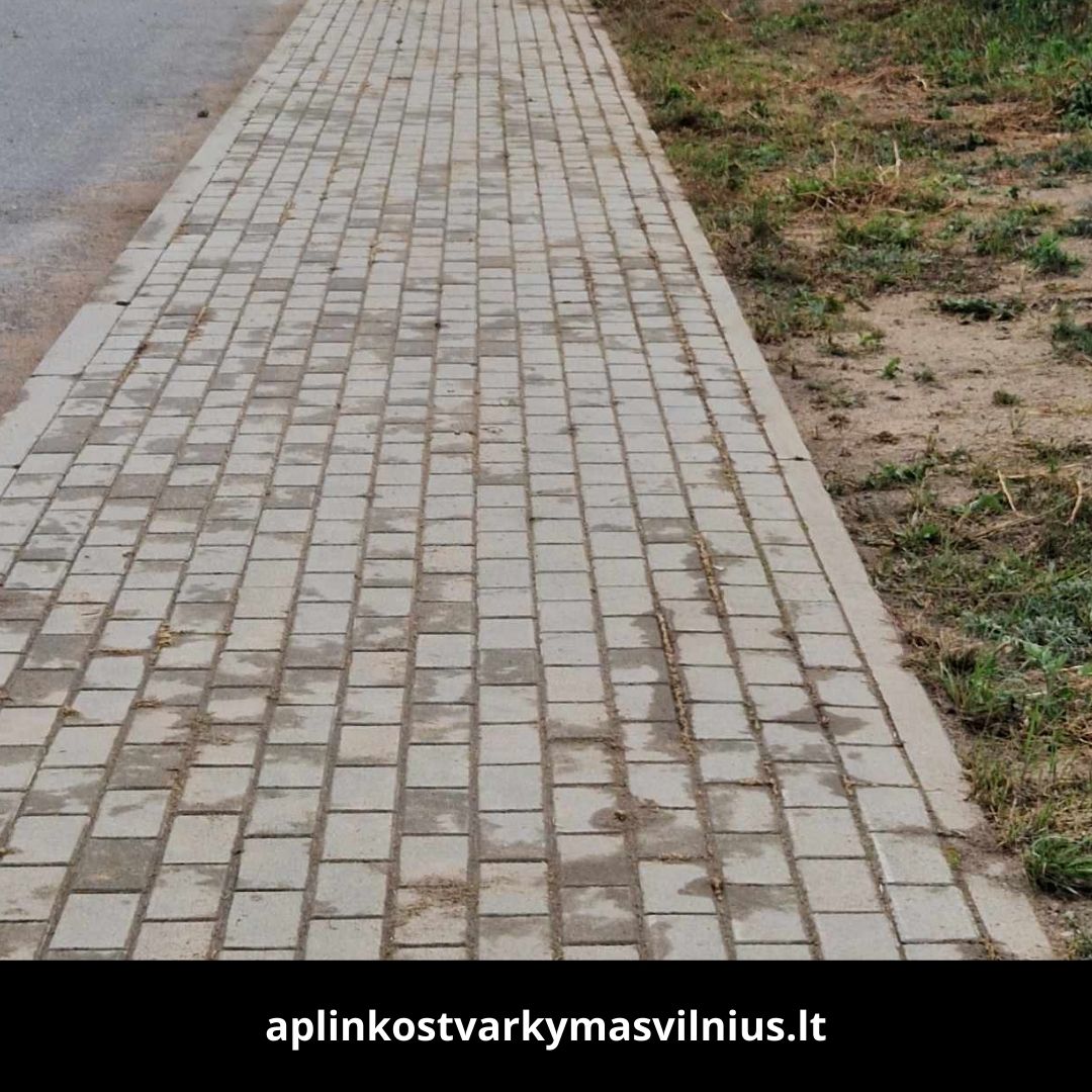 Aplinkos tvarkymas Vilnius atlikti darbai 9