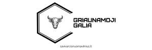 Savivarčio nuoma Vilniuje logo