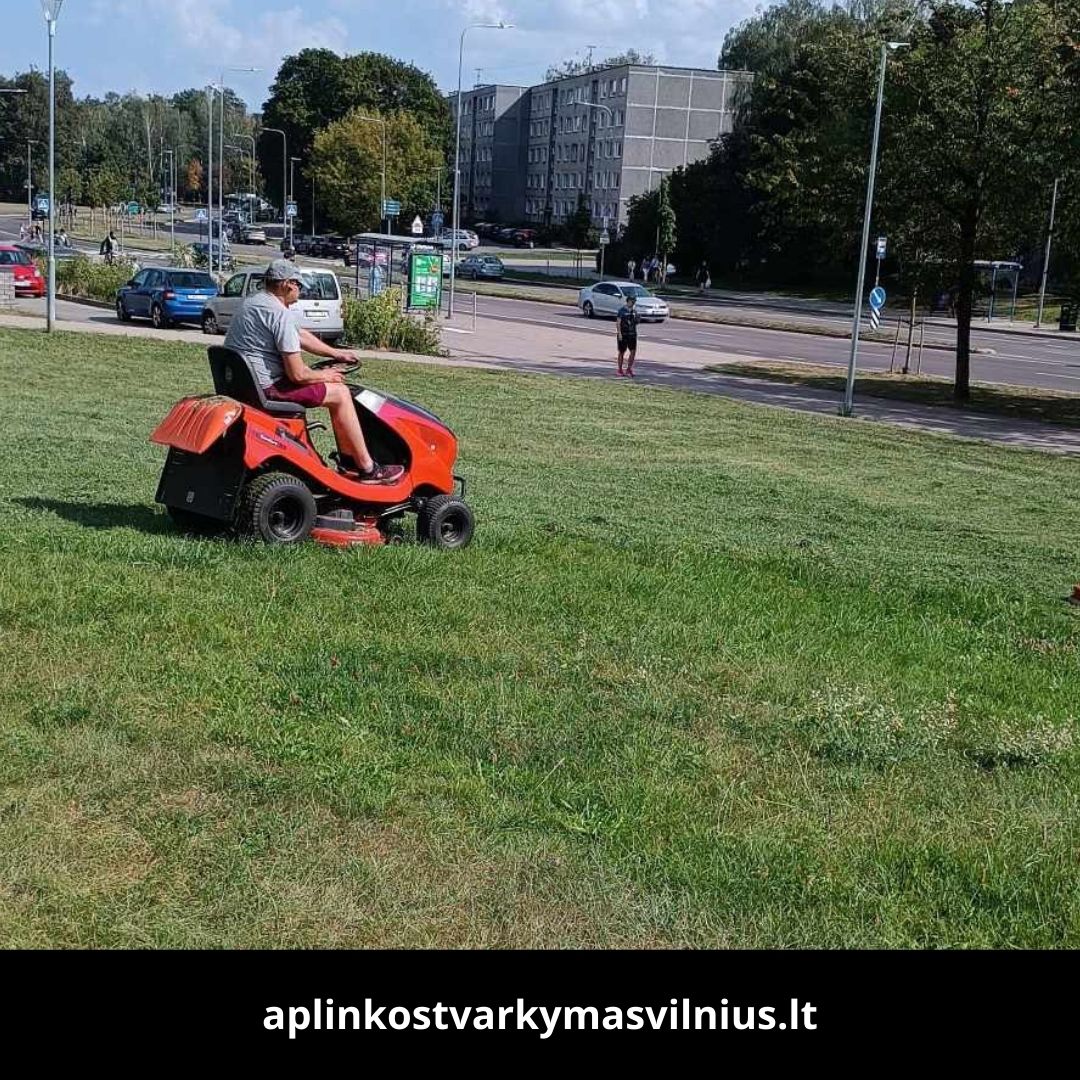 Aplinkos tvarkymas Vilnius atlikti darbai 4