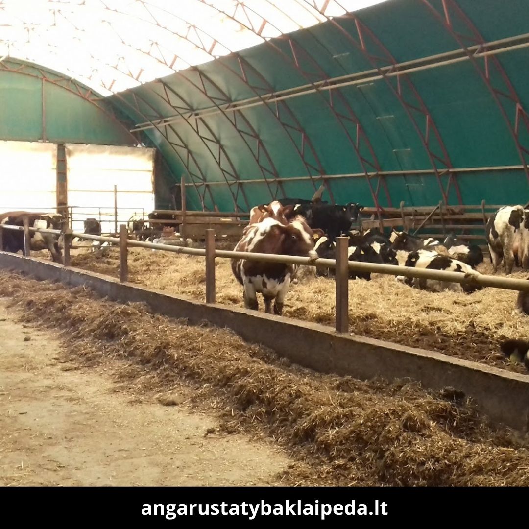 Angarų statyba Klaipėda atlikti darbai 8