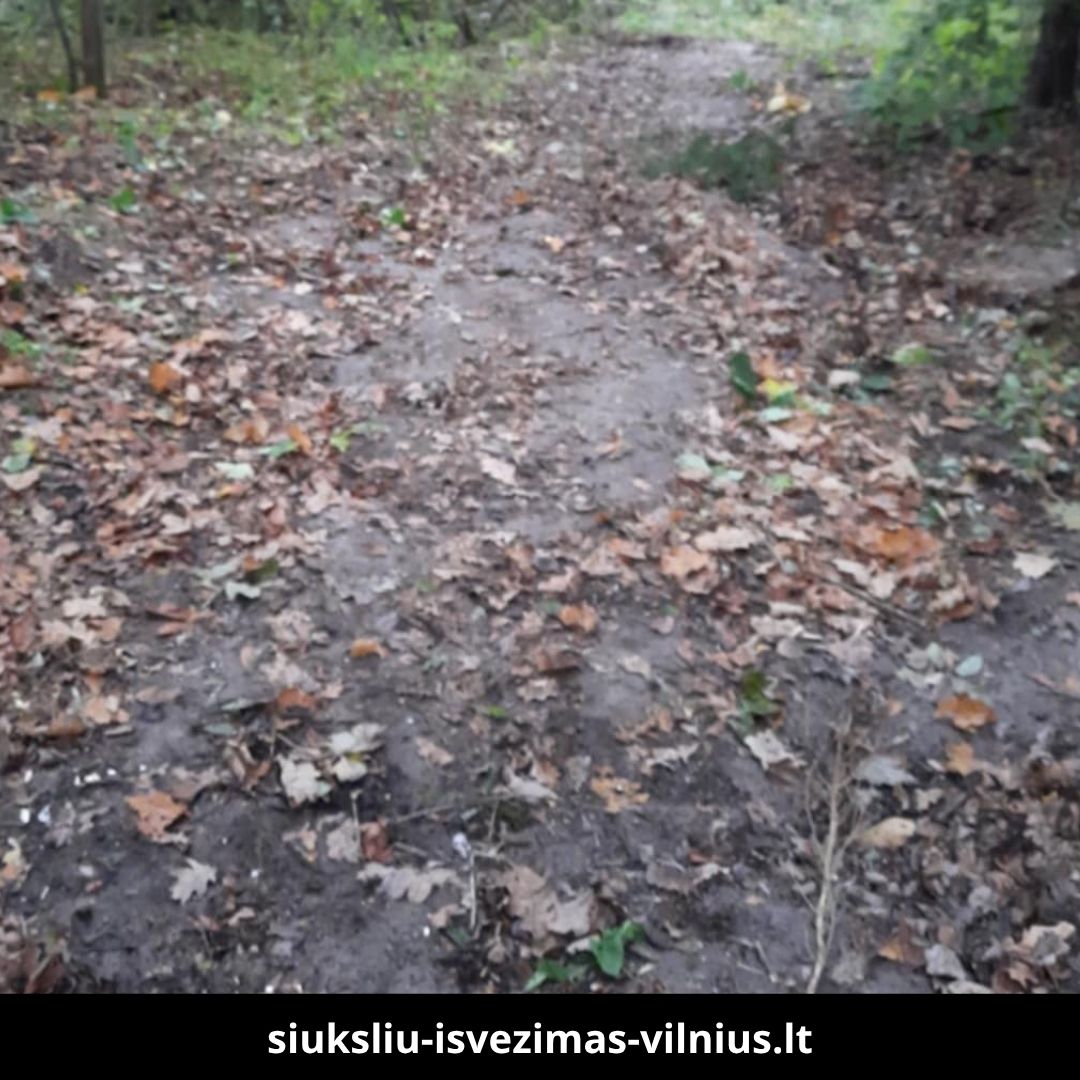 Šiukšlių išvežimas Vilniuje 1