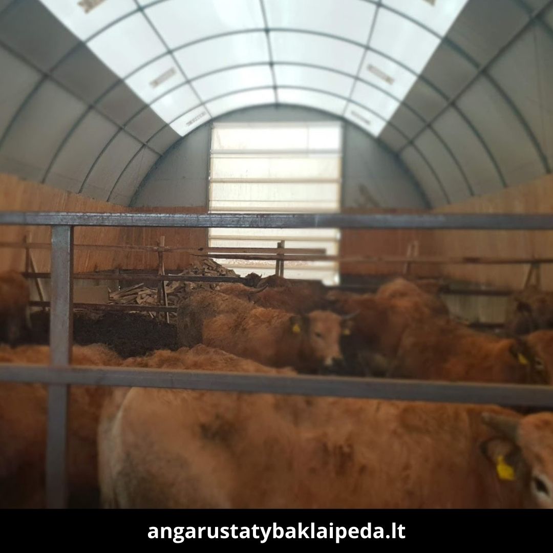 Angarų statyba Klaipėda atlikti darbai 7