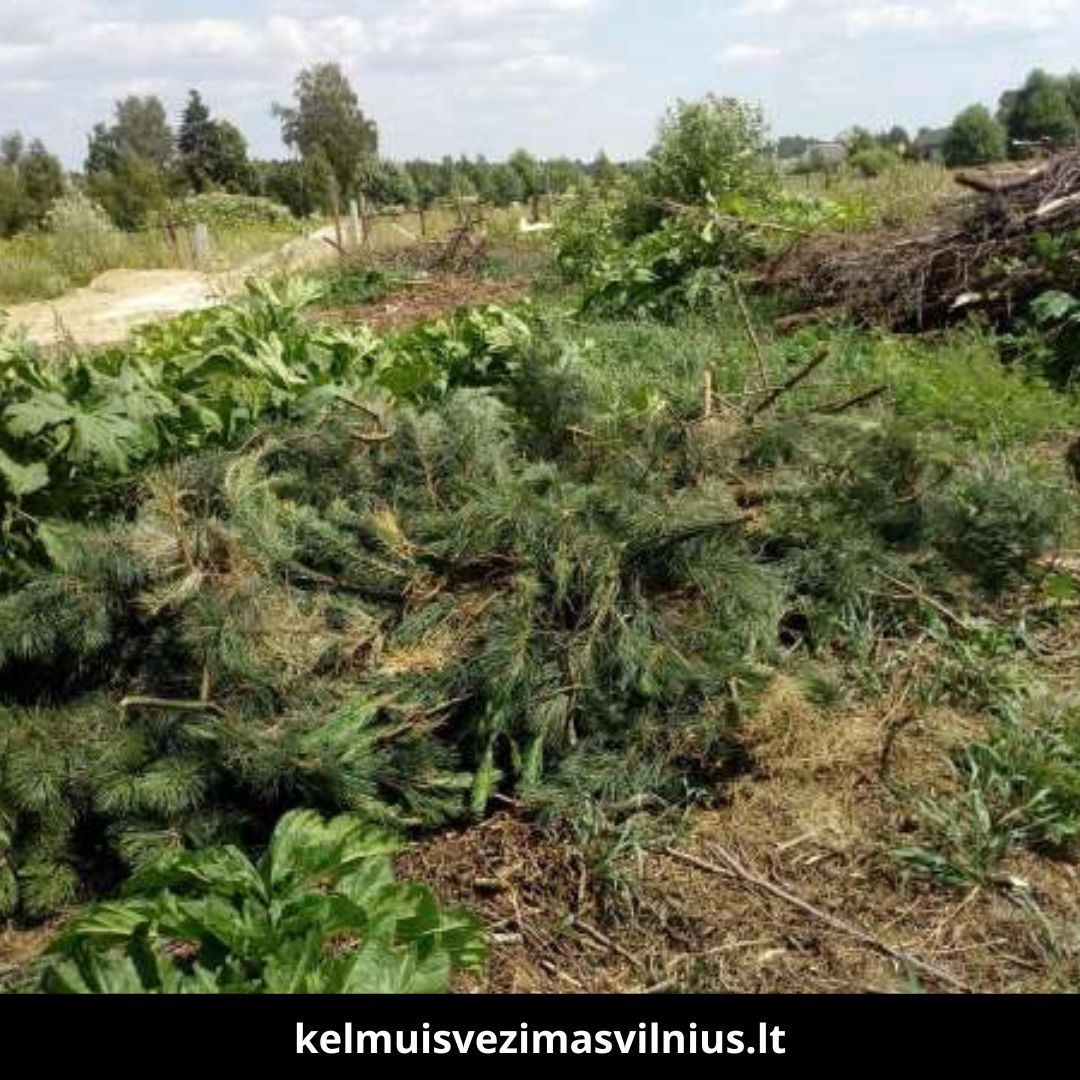 Kelmų išvežimas Vilniuje 2