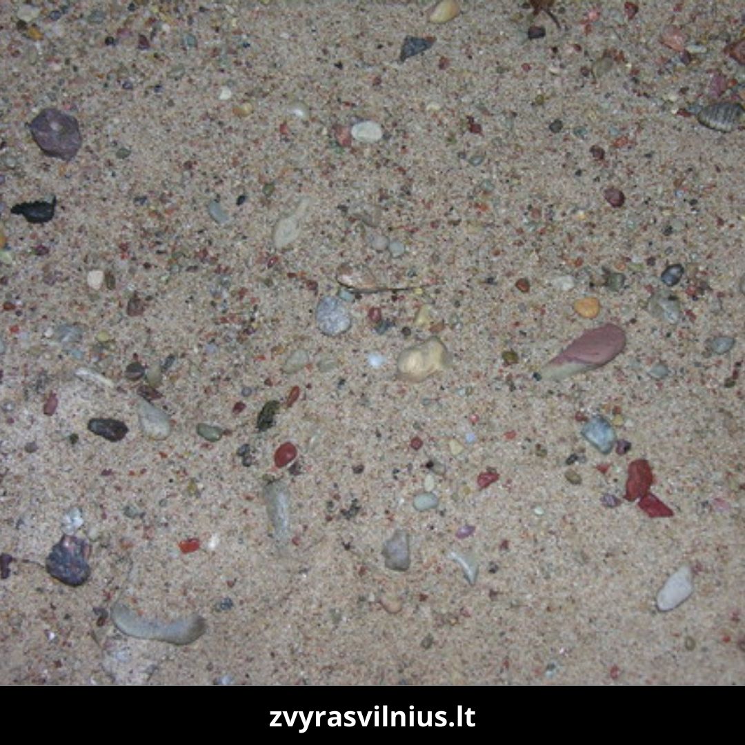 Žvyras Vilnius produktai zvyras Vilniuje 1