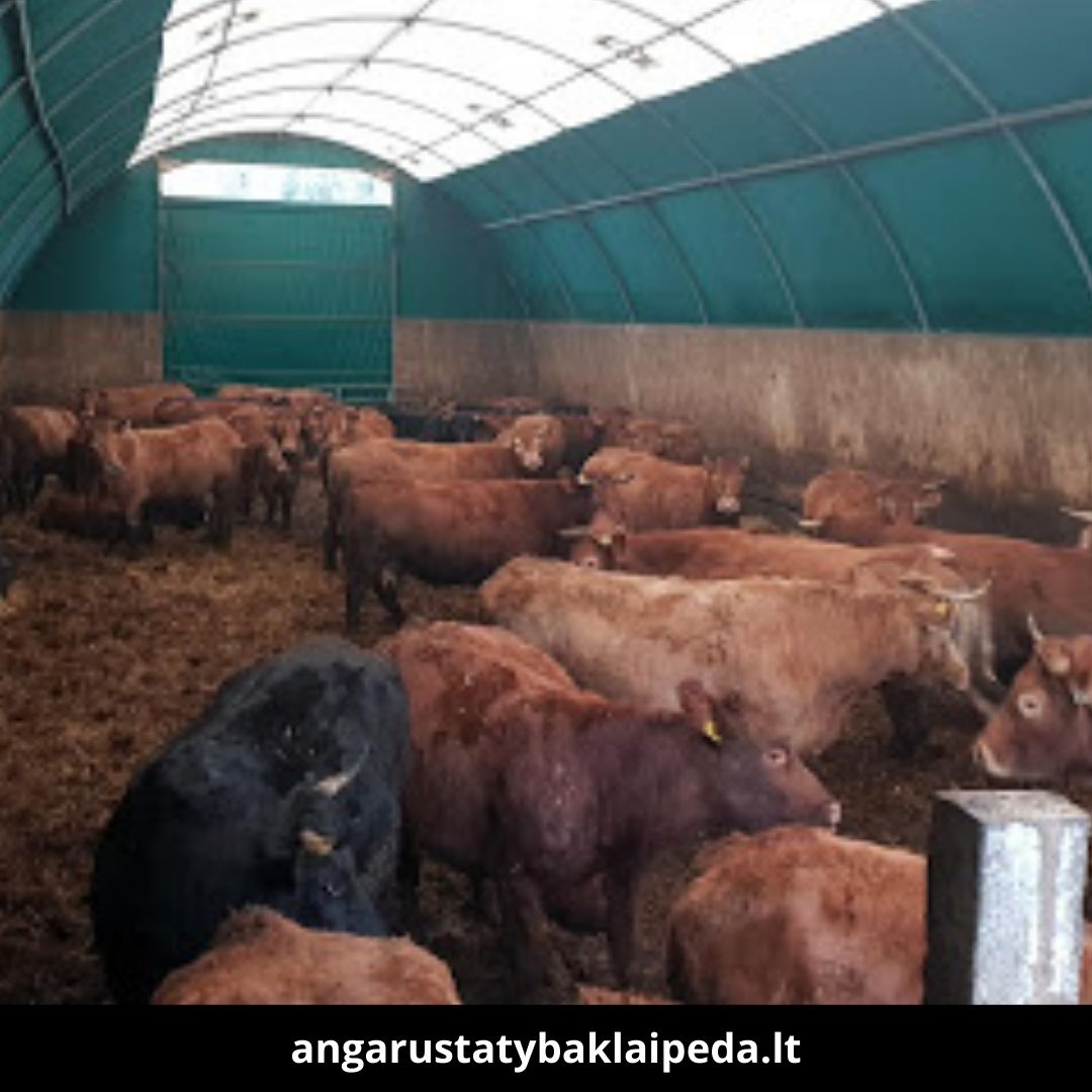 Angarų statyba Klaipėda atlikti darbai 5