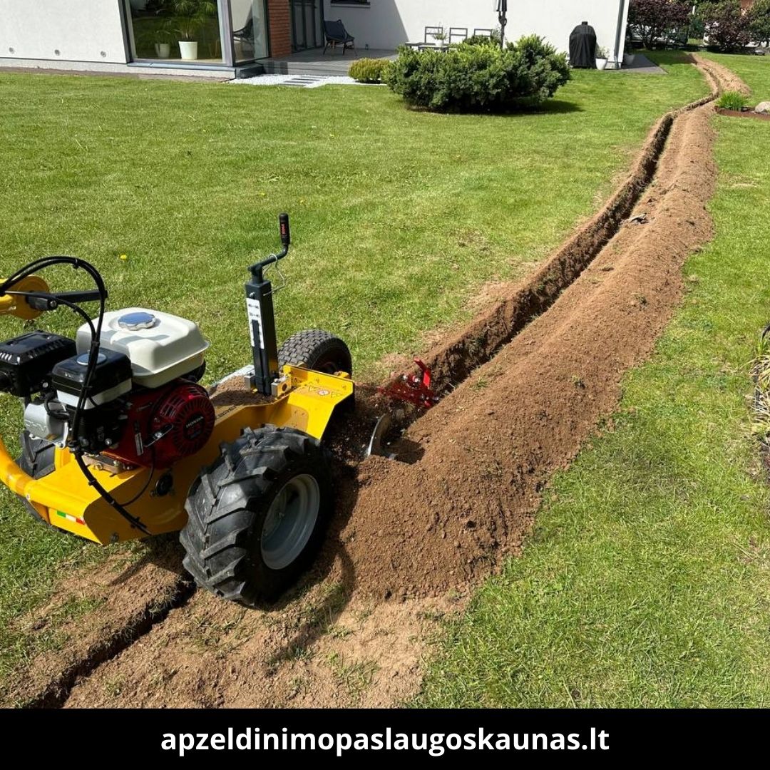 Apželdinimo paslaugos Kaune atlikti darbai 3