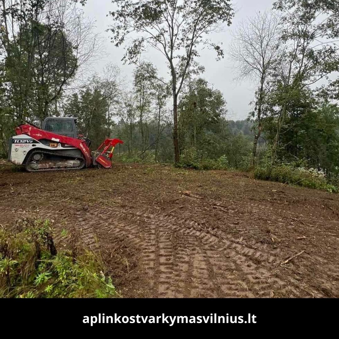 Aplinkos tvarkymas Vilnius atlikti darbai 6