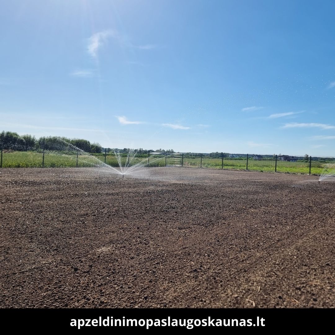 Apželdinimo paslaugos Kaune atlikti darbai 6