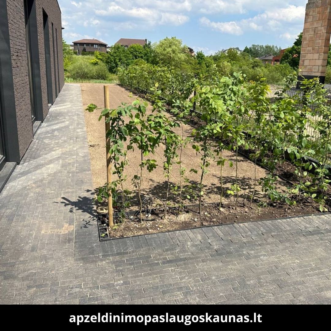 Apželdinimo paslaugos Kaune atlikti darbai 2