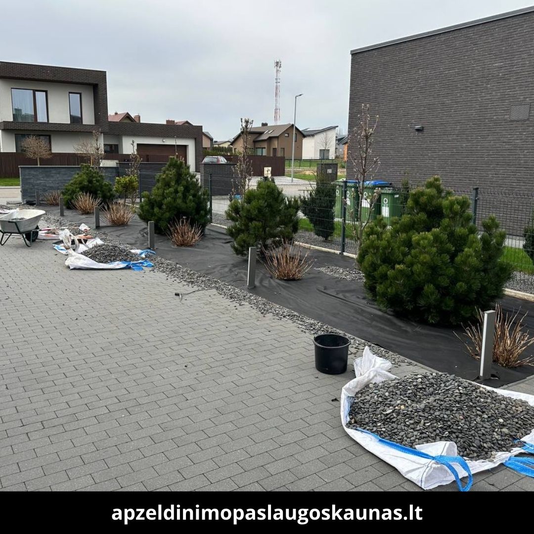 Apželdinimo paslaugos Kaune atlikti darbai 8