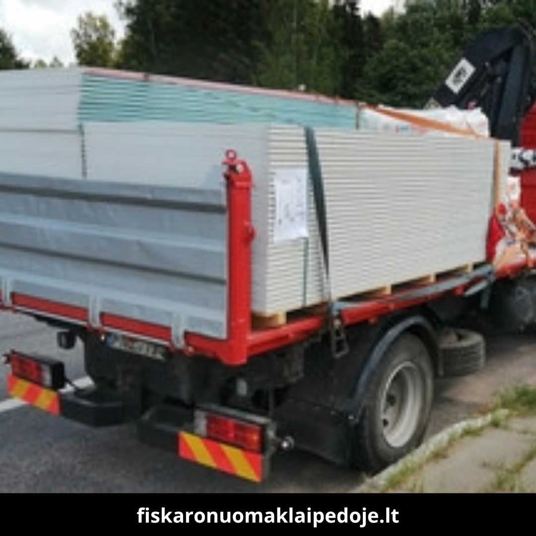 Fiskaro nuoma Klaipėdoje darbai 9