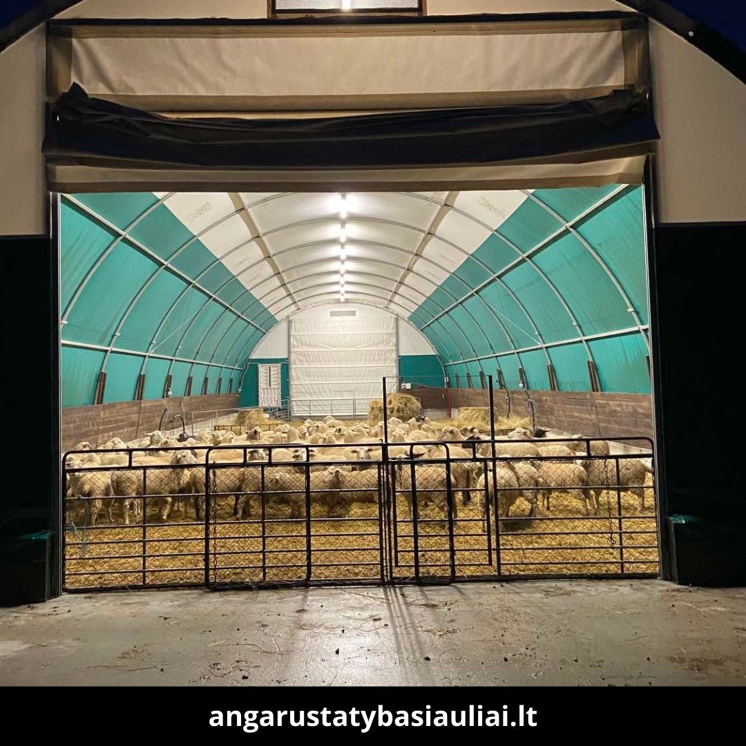 Angarų statyba Šiauliuose atlikti darbai 1
