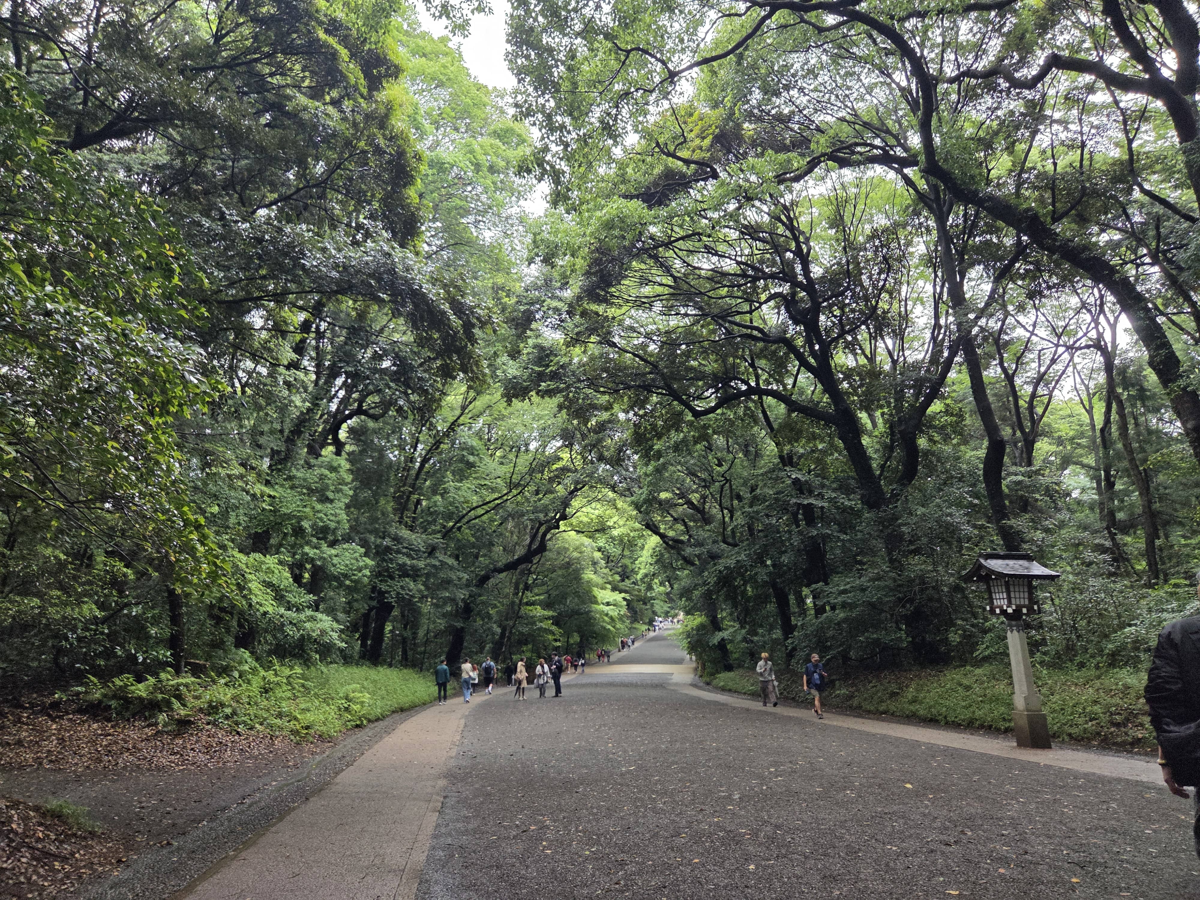 Meiji Santurario Shibuya Tokio Japón 2026