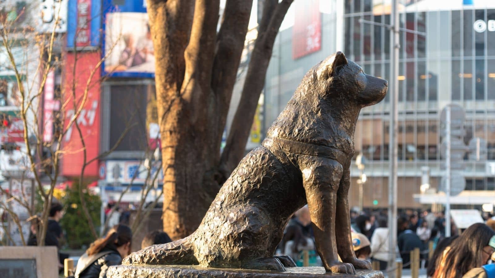 Hachiko Shibuya Tokio Japón 2026